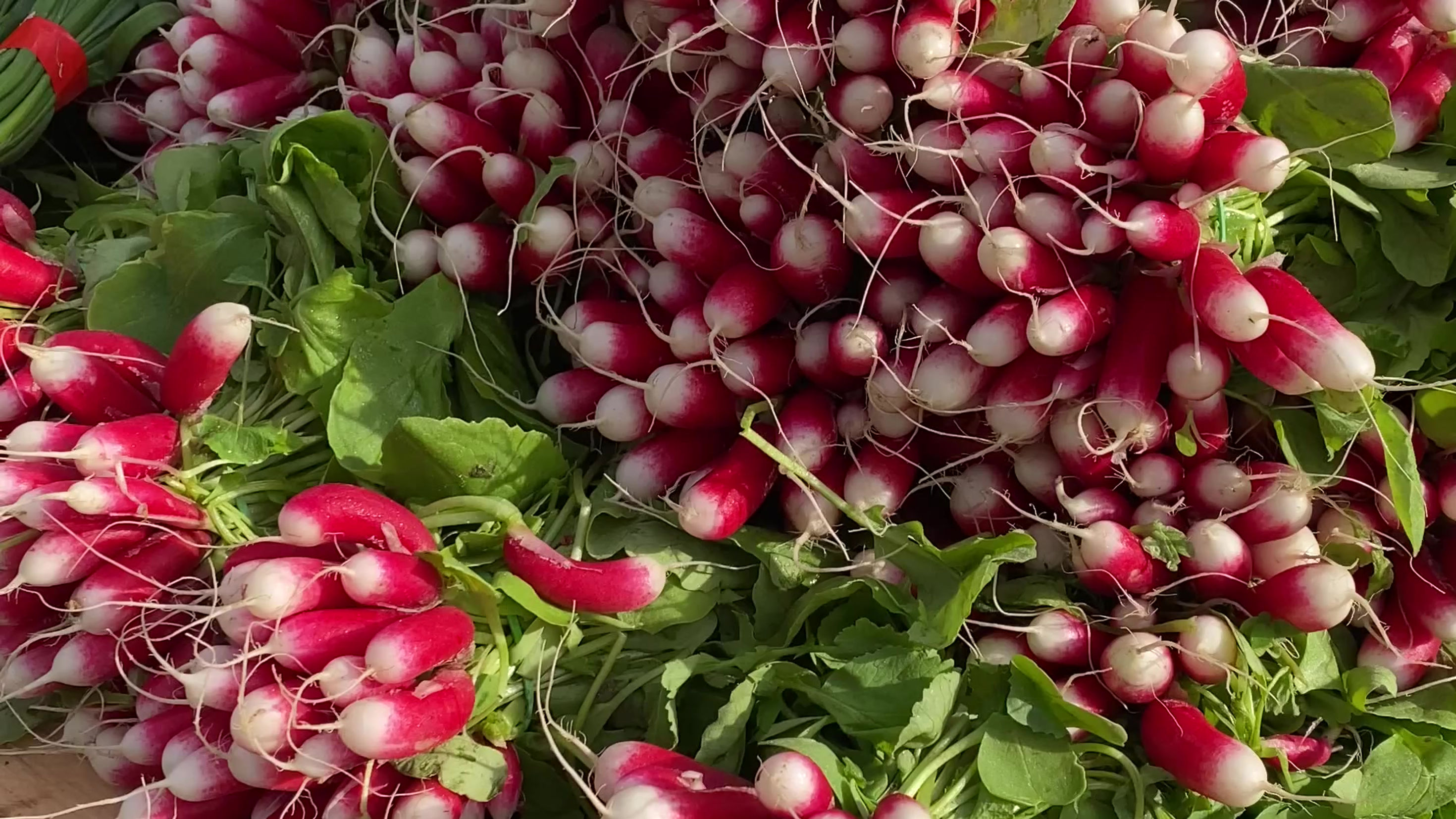 Marché du Végétal